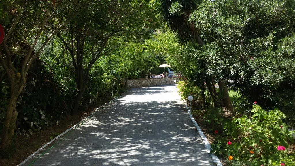 Hotel Lalaria Skiathos Exterior photo