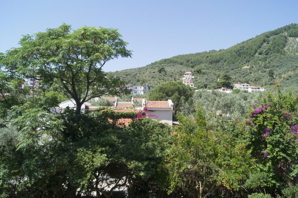 Hotel Lalaria Skiathos Exterior photo